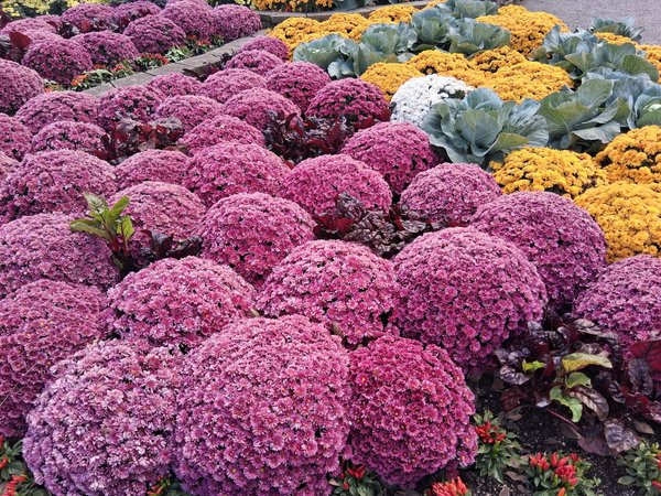 Les avantages d'avoir un sèche-serviettes chez soi